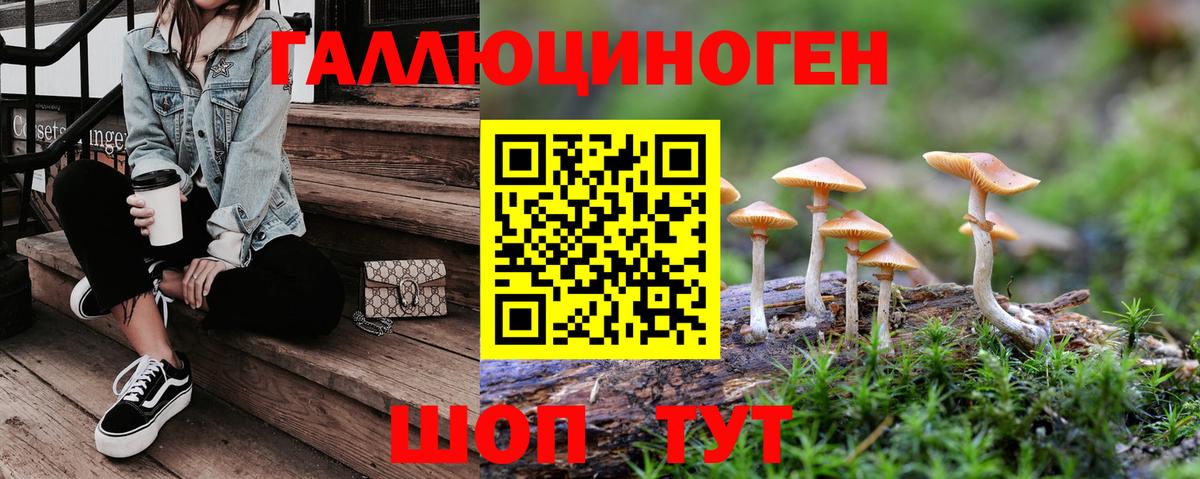 Псилоцибиновые грибы MAGIC MUSHROOMS  Псилоцибиновые грибы ЛСД  закладки  Алушта  Вход с VPN 